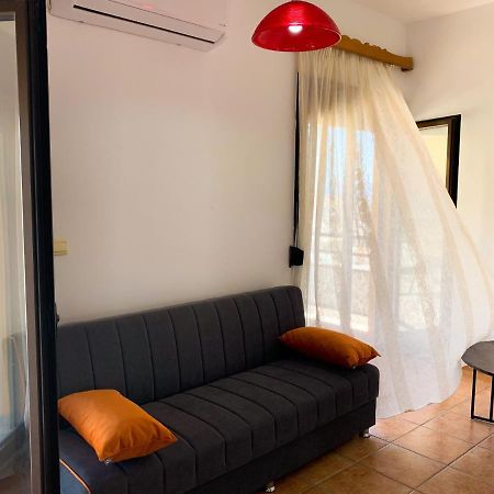 Central Huge Apartment 干尼亞 外观 照片