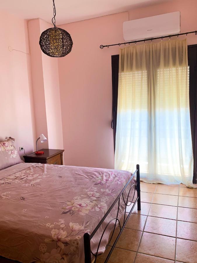 Central Huge Apartment 干尼亞 外观 照片